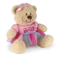 Birthday Princess Dress for Teddy Bear | Pink Birthday Tutu for Stuffed Animal