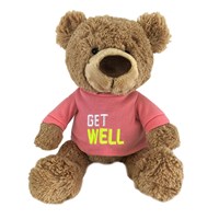 Non Personalized Teddy Bear | Get Well Bear