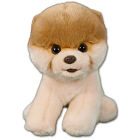 Boo The World's Cutest Dog GU4029715