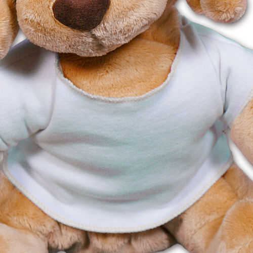 Tan Spunky Puppy GU58380