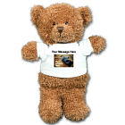 Ruddly Bear - 6" SSRU6X