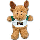 Ruddly Moose - 10" RU10MP
