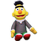 Bert - 15