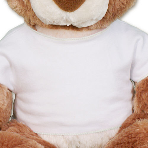 Personalized Graduation Teddy Bear GU15314-4759