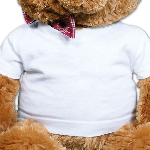 Plush Downing Bear GU21025