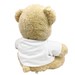 Personalized Baby Boy Teddy Bear 834570X