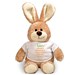 Personalized Carrot Love Easter Bunny 8B86101058L