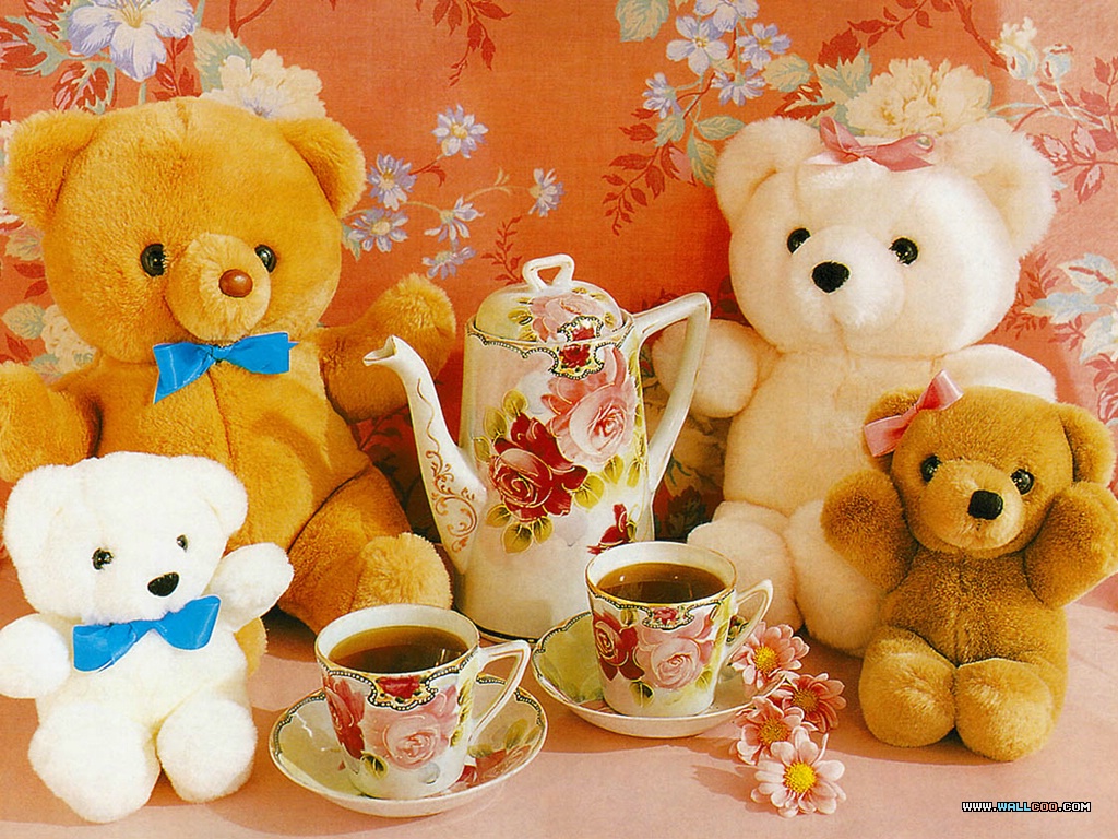 Find a personalized teddy bear for your teddy bear tea party at 800Bear.com!