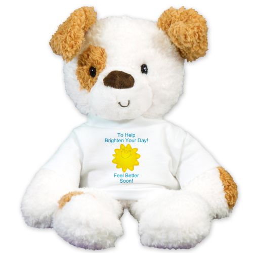 get well soon stuffed animal near me
