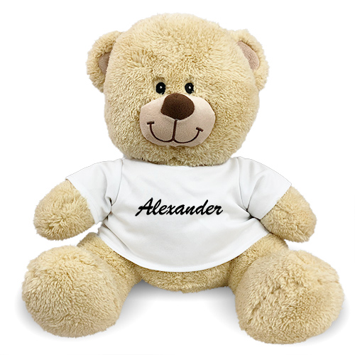 name on teddy bear online