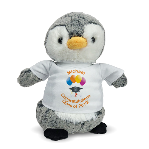 graduation teddy bears 2019