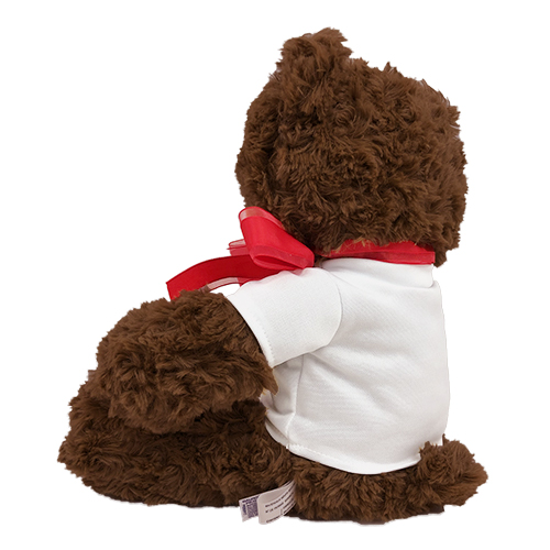 coco melon teddy bear