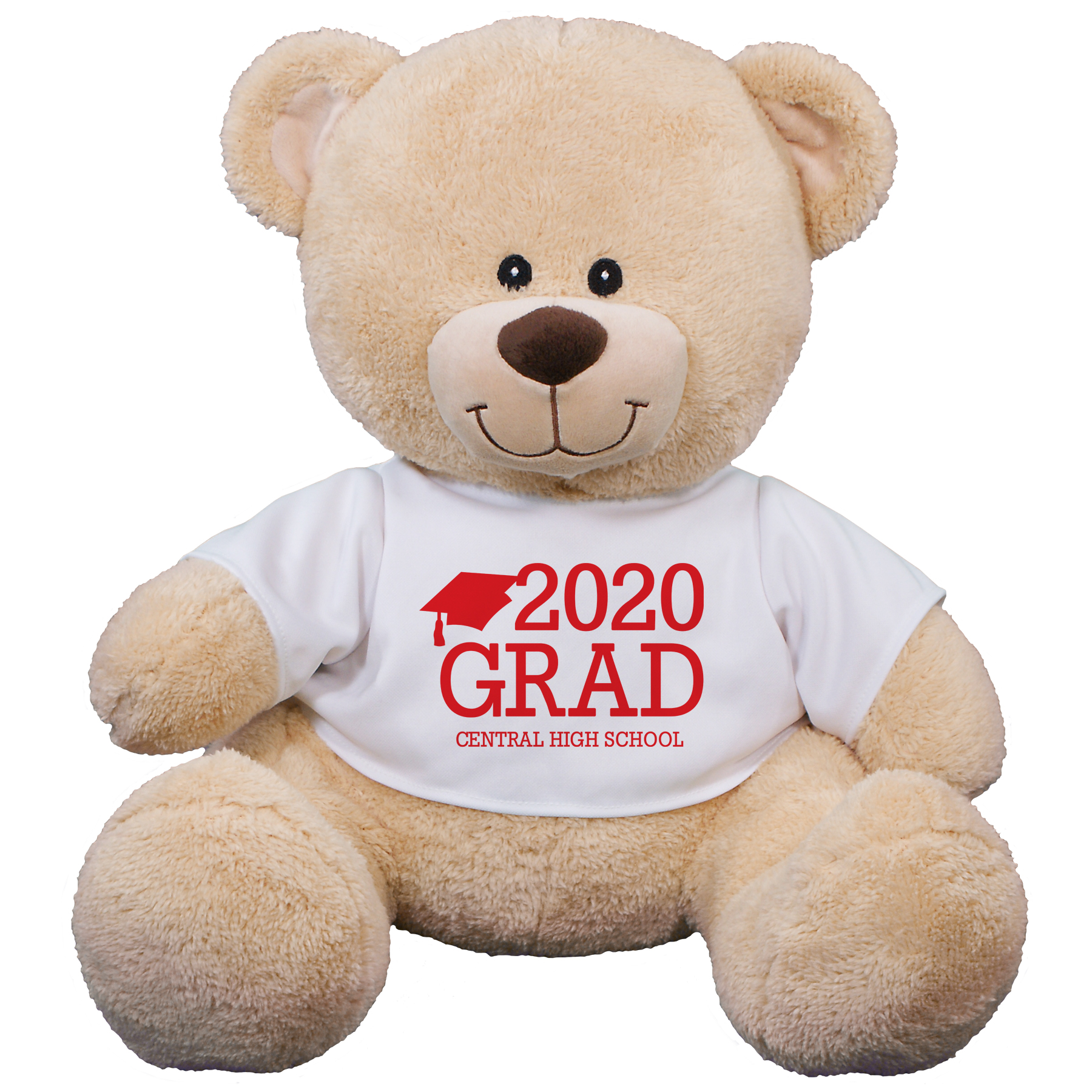 Grad Teddy Bear. 