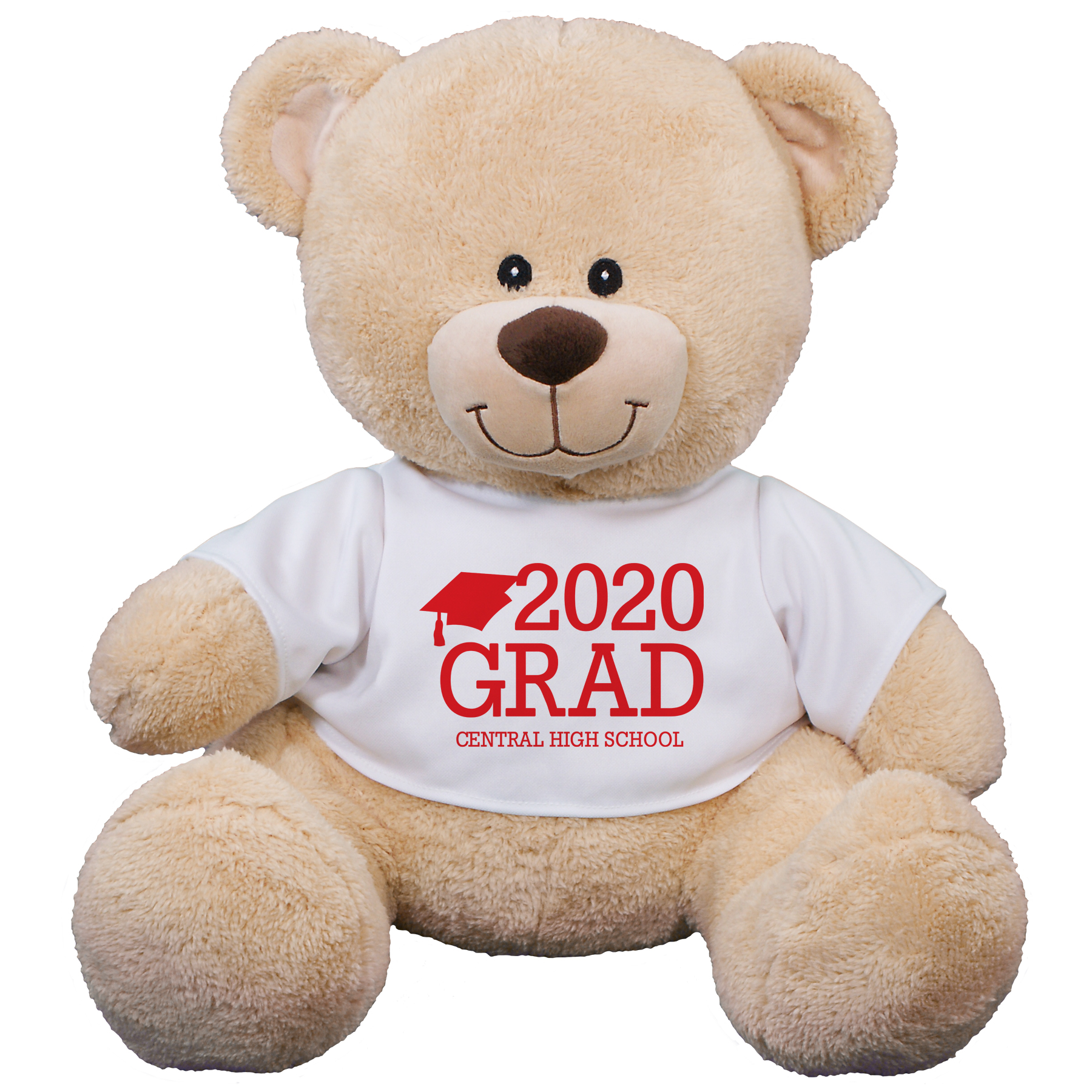 Class Of Teddy Bear 8B83102329X