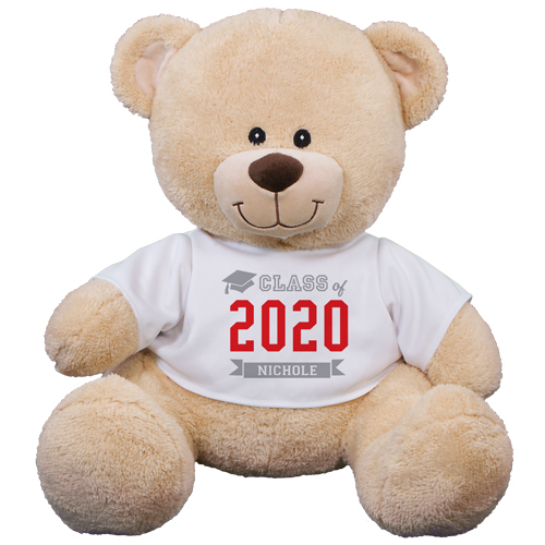 Class Of Teddy Bear 8B83102329X