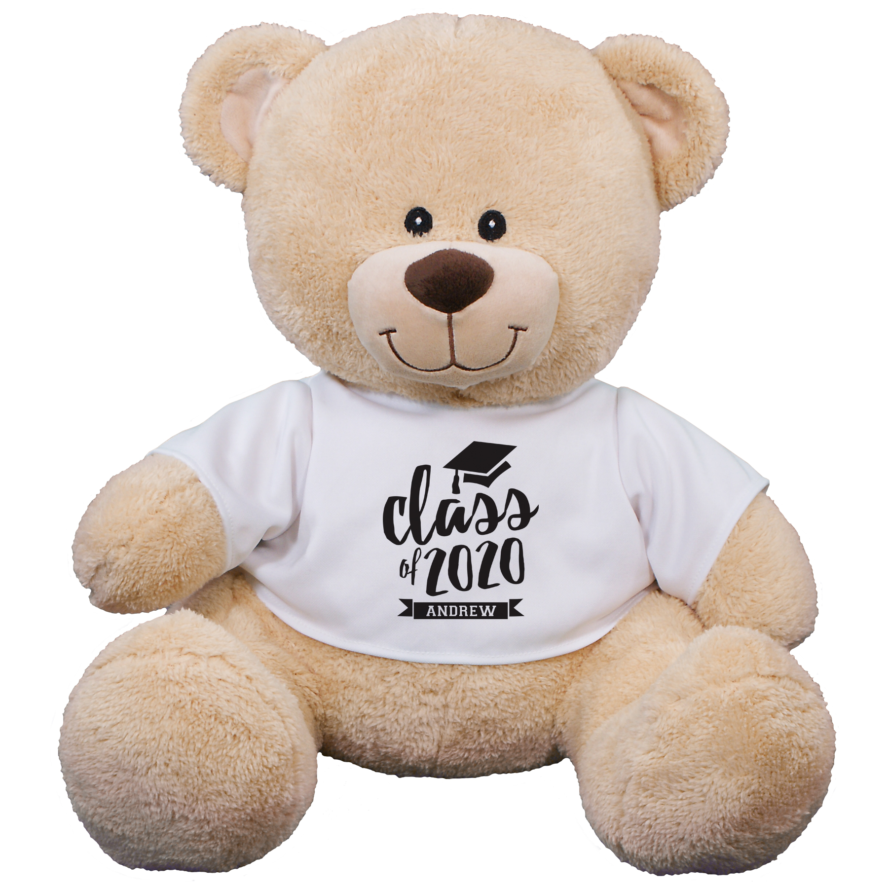 Class Of Teddy Bear 8B83102339X