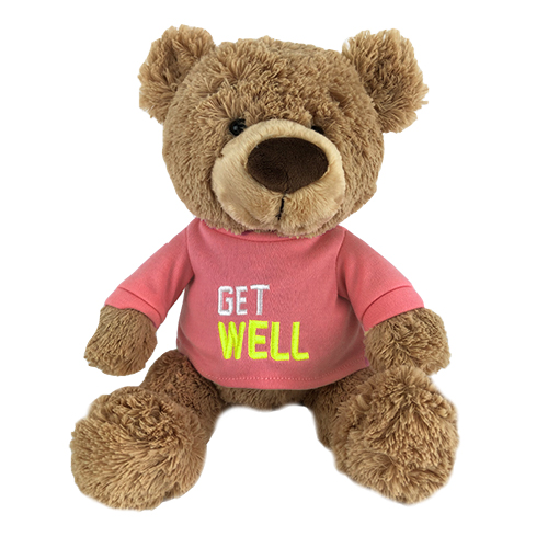 Non Personalized Teddy Bear | Get Well Bear