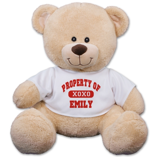 couples plush teddy bear love gift