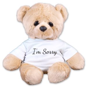 sorry for teddy bear