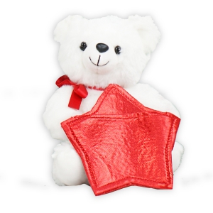 Bear Gift Card Holder AU19309BNP