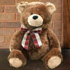 Plush Brown Teddy Bear GU4030263