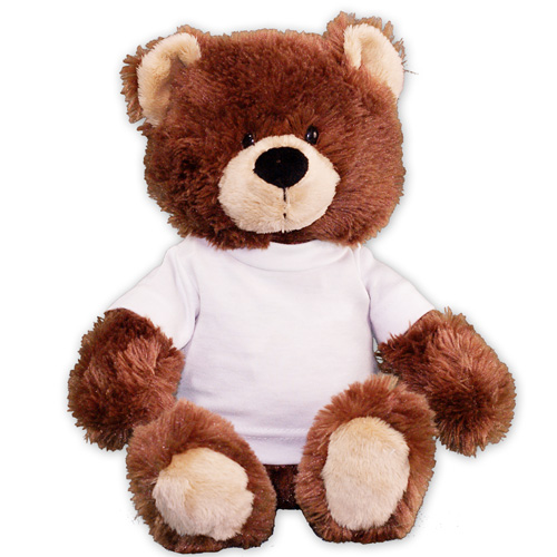 Plush Brown Teddy Bear GU4030263