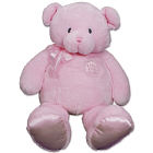 My First Pink Teddy Bear - 30" GU58902
