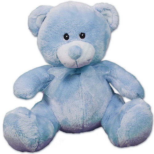 baby blue teddy