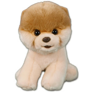 boo the cutest dog in the world stuffed animal