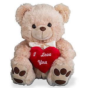 teddy bear for wife