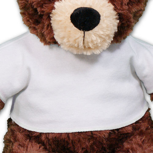Beary Best Teacher Teddy Bear AU30861-4649