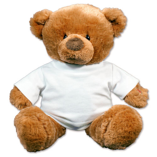 talking teddy bear gift