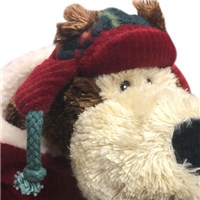 Non Personalized Goober Teddy Bear - 10