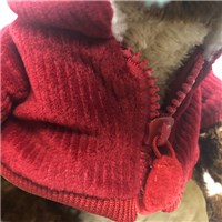 Non Personalized Goober Teddy Bear - 10