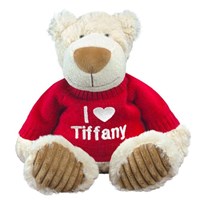 Embroidered Name Teddy Bear 83000B17-7405X