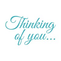 Thinking of You Teddy Bear 83000B17-8117