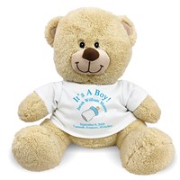 Personalized New Baby Boy Teddy Bear 834986X