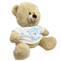 Personalized New Baby Boy Teddy Bear 834986X
