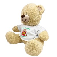 Personalized Christmas Teddy Bear 834990X