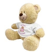 Personalized New Baby Girl Teddy Bear 834992X