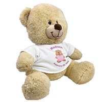 Personalized New Baby Girl Teddy Bear 834992X