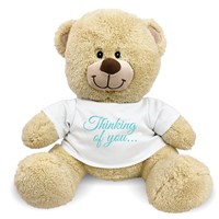 Thinking of You Teddy Bear 83000B17-8117