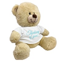 Thinking of You Teddy Bear 83000B17-8117