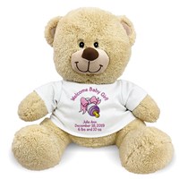 Personalized New Baby Girl Teddy Bear 834772X