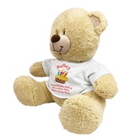 Personalized Birthday Cake Teddy Bear 834982X