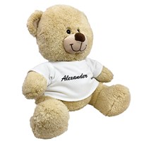 Personalized Any Name Teddy Bear 83xxxb13-6208