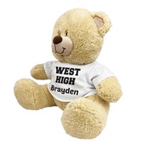 School Spirit Teddy Bear 8B83102259X