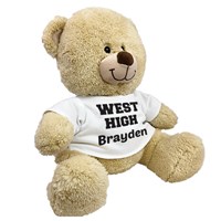 School Spirit Teddy Bear 8B83102259X