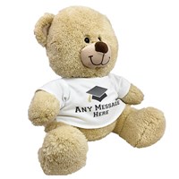 Class Of Teddy Bear 8B83102329X