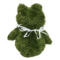 Romantic Plush Frog | Personalized Stuffed Animals For Valentine's Day